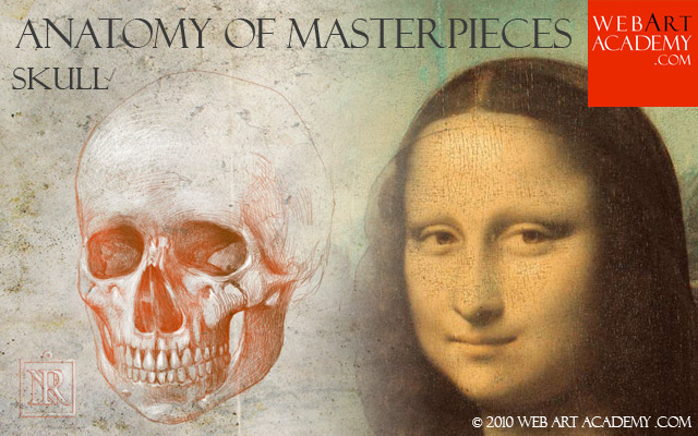 anatomy_skull_art_academy_tutorials