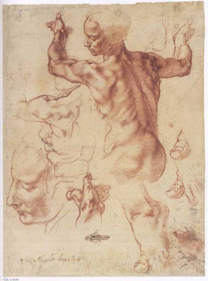 What the Old Masters knew about Anatomy -Michelangelo