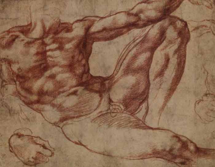 What the Old Masters knew about Anatomy -Michelangelo anatomy