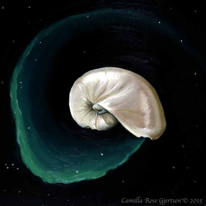 The oil painting of the Nautilus seashell “Nautilus Borealis” is from 2015, after I did the course.