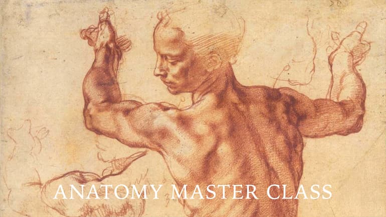 anatomy-master-class
